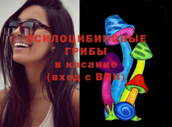 мефедрон Каменногорск