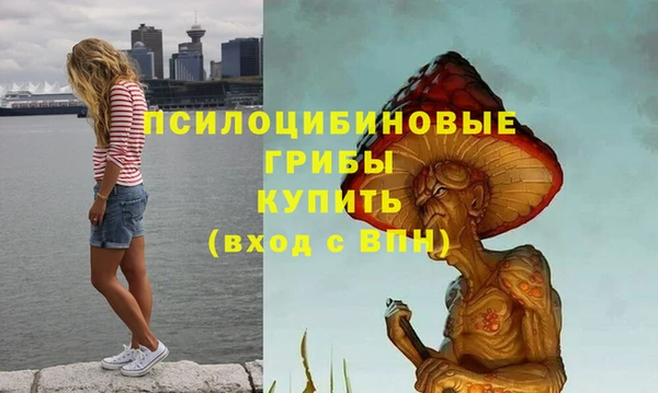 МДПВ Каменск-Шахтинский